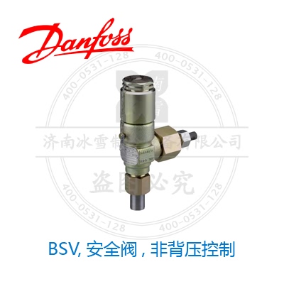 BSV,安全阀, 非背压控制
